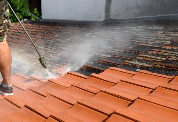 Best Garage Pressure Washing  in Lavalette, WV