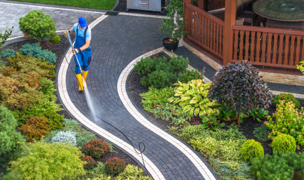 Best Sidewalk Pressure Washing  in Lavalette, WV